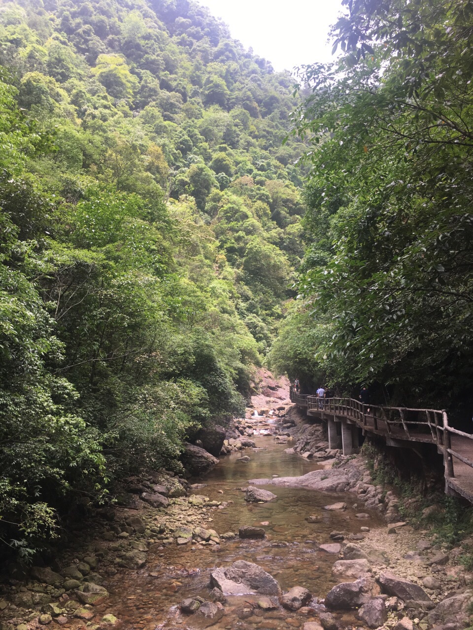 2019牛頭山國家森林公園_旅遊攻略_門票_地址_遊記點評,武義旅遊景點