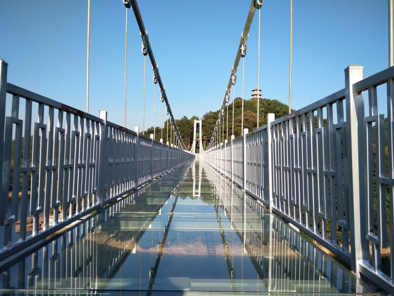 石燕湖生态公园玻璃桥图片