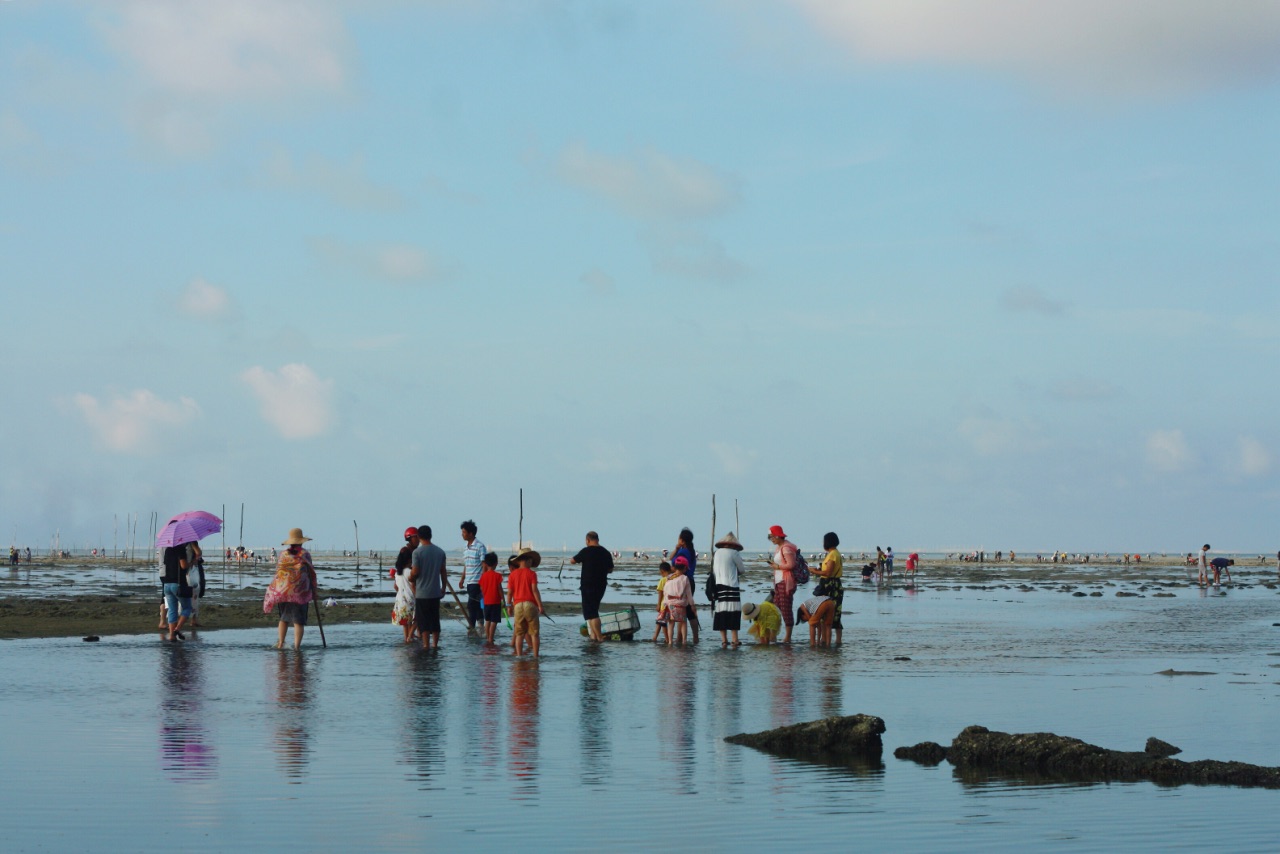 红树林天天赶海
