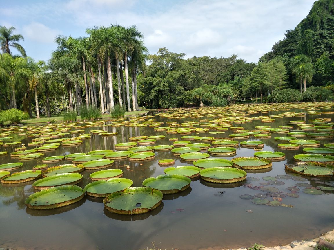 中科院西雙版納熱帶植物園