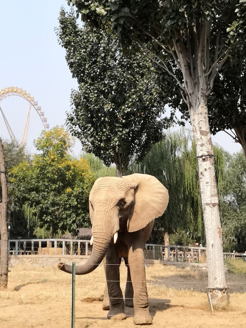 石家莊市動物園