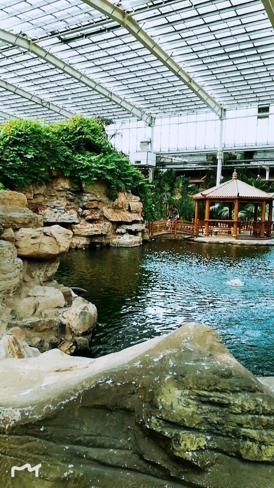 龙达温泉生态城