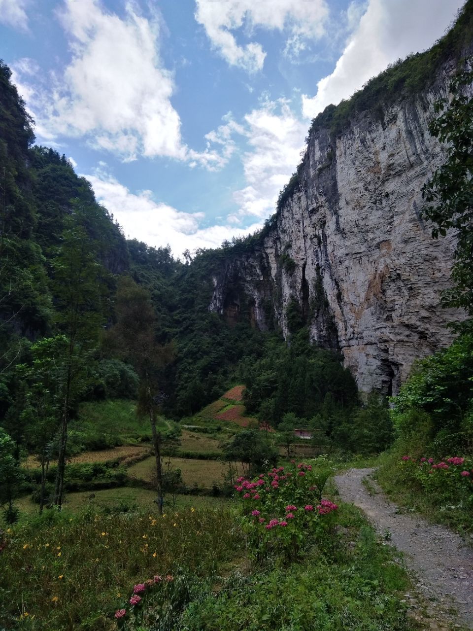 利川武陵洞寨旅遊景點攻略圖