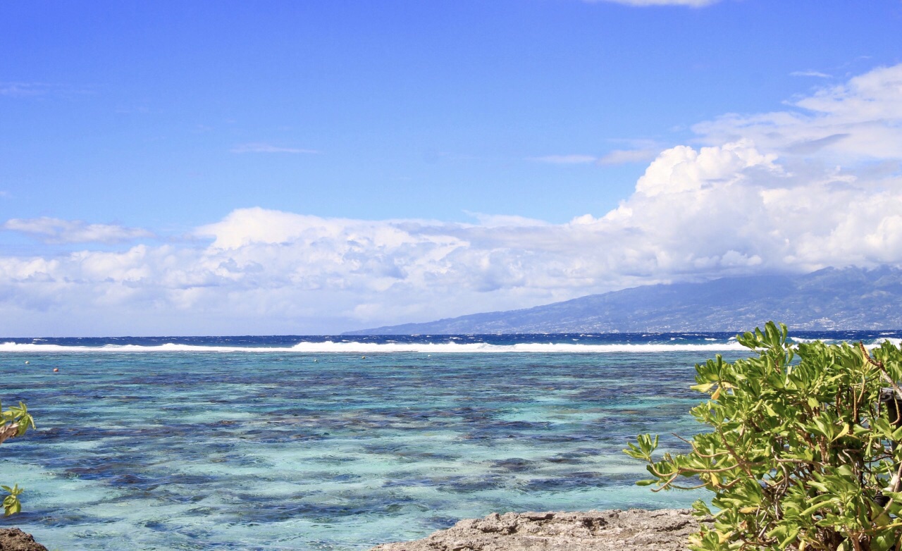 2020茉莉雅岛-旅游攻略-门票-地址-问答-游记点评，莫雷阿岛旅游旅游景点推荐-去哪儿攻略