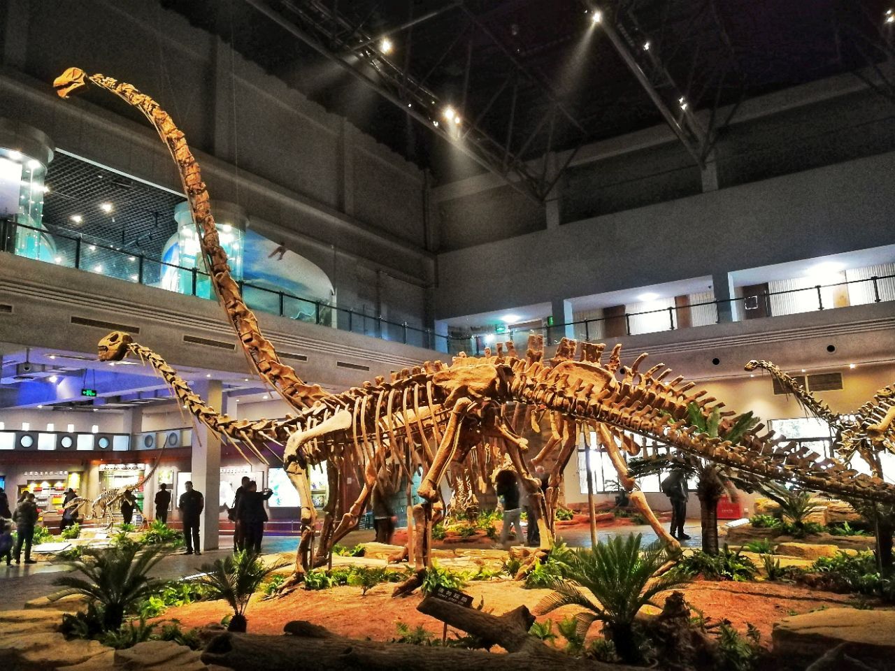 参观上海自然博物馆新馆是怎样的体验？ - 知乎