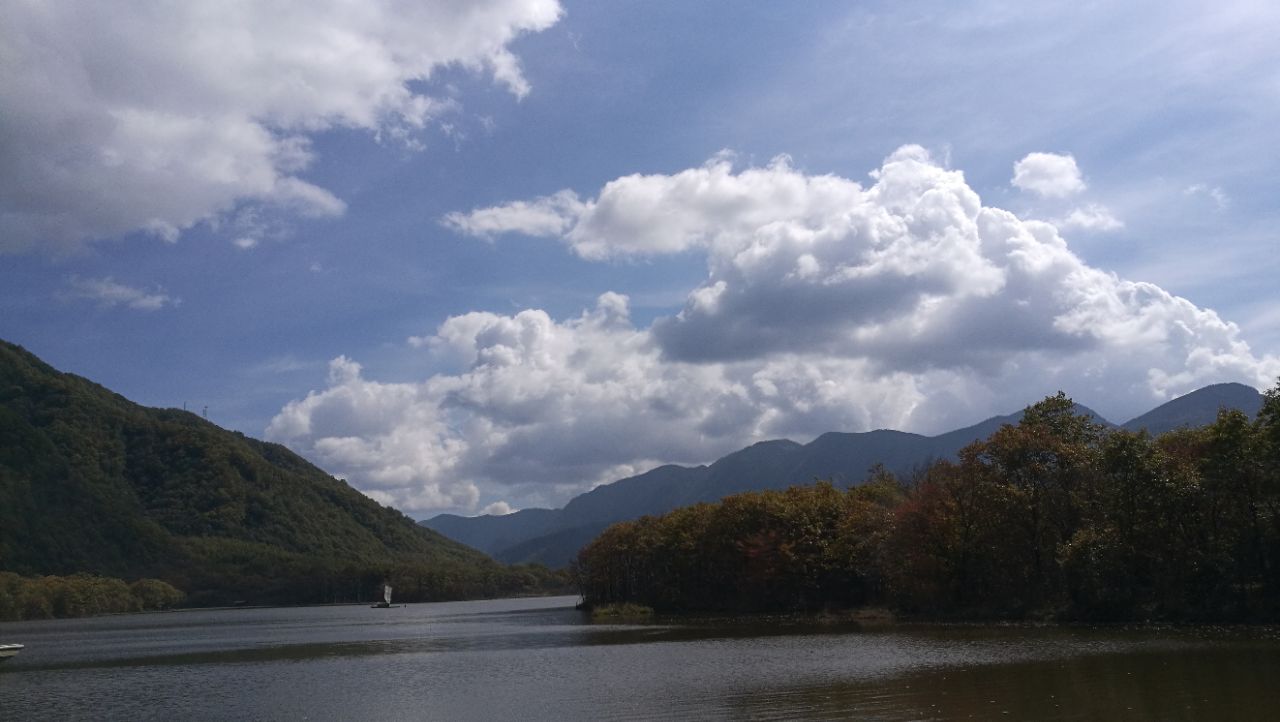 2019大九湖國家溼地公園_旅遊攻略_門票_地址_遊記點評,神農架旅遊