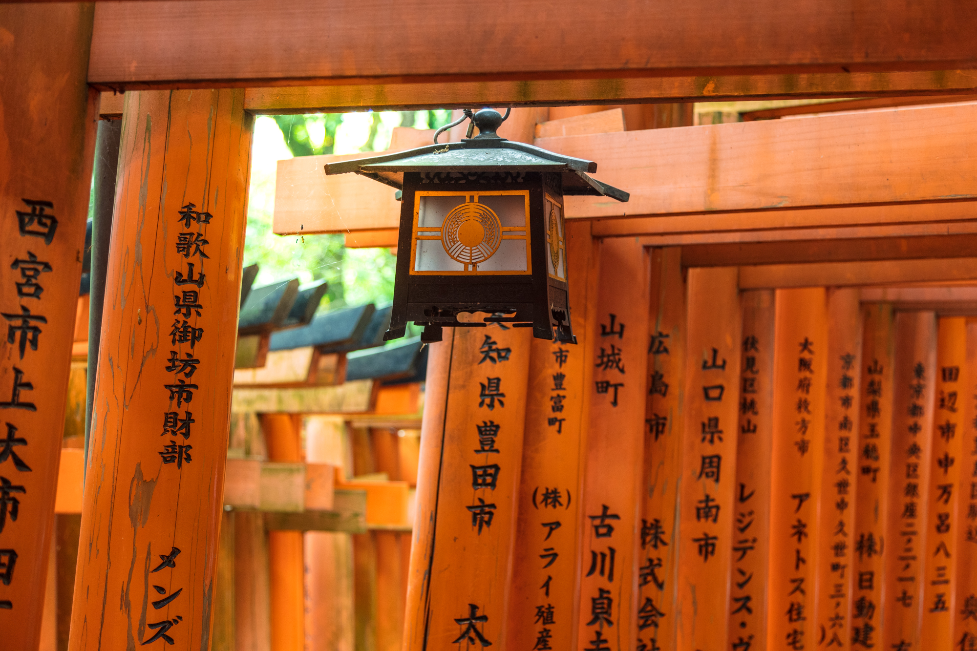 2021千本鸟居-旅游攻略-门票-地址-问答-游记点评，京都旅游旅游景点推荐-去哪儿攻略