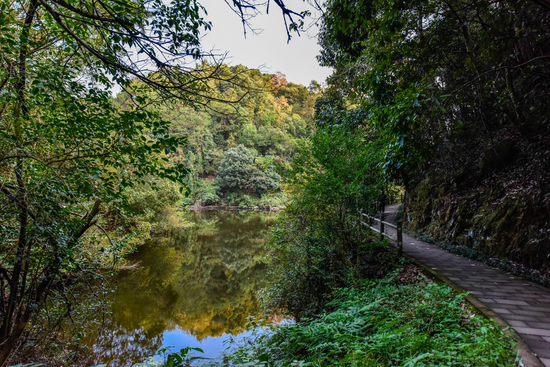 黄山风景区戴震公园好玩吗,黄山风景区戴震公园景点怎么样_点评_评价