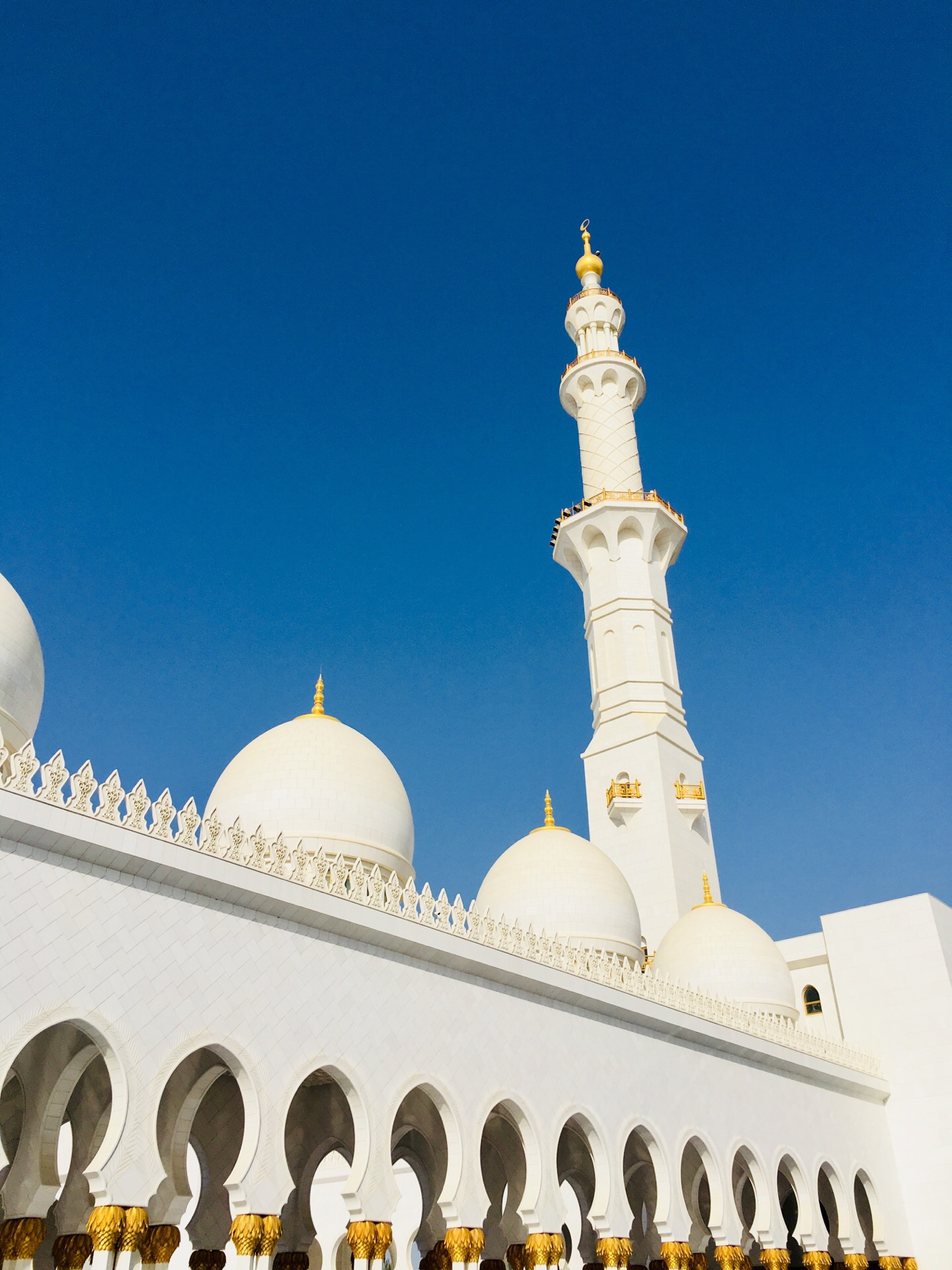 2024迪拜大清真寺游玩攻略,非常值得参观的清真寺，而且...【去哪儿攻略】