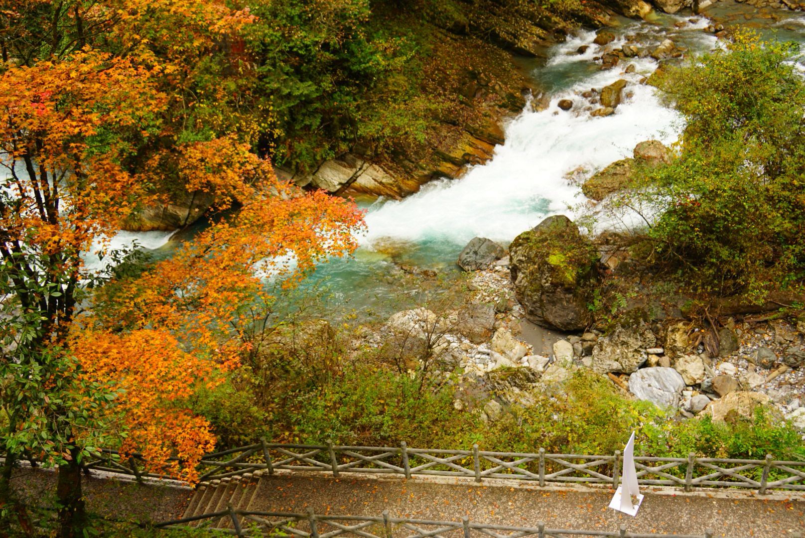 2019二郎山喇叭河风景区-旅游攻略-门票-地址-问答-游记点评，天全旅游旅游景点推荐-去哪儿攻略