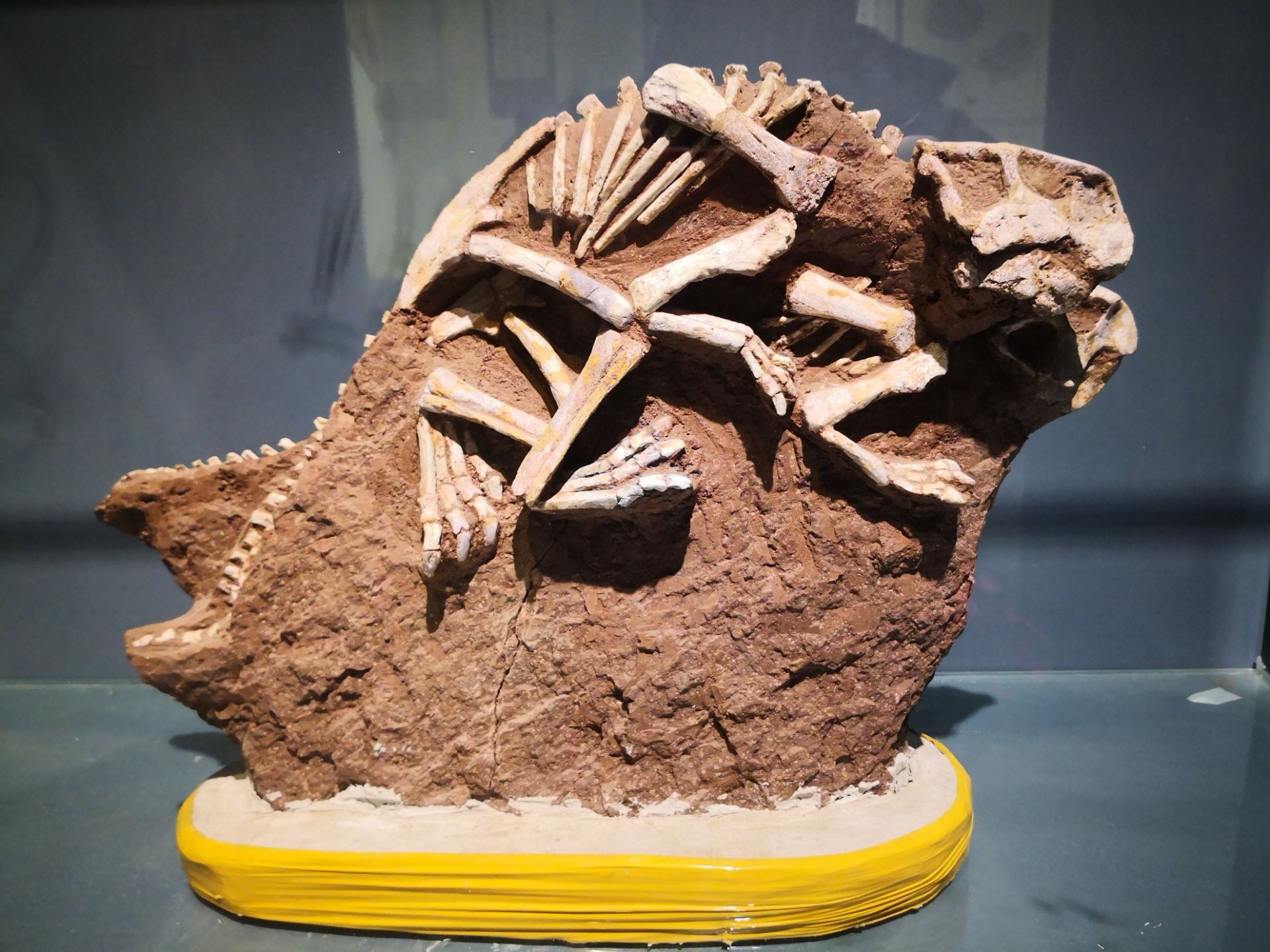 和政古动物化石博物馆官网