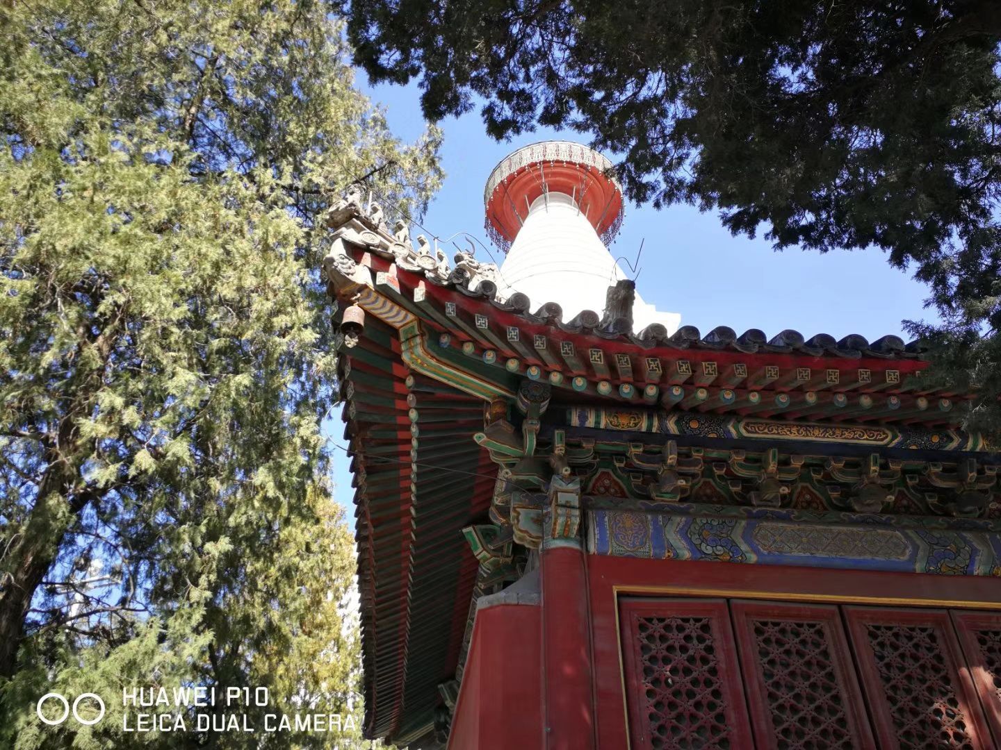 2019白塔寺-旅游攻略-门票-地址-问答-游记点评，北京旅游旅游景点推荐-去哪儿攻略