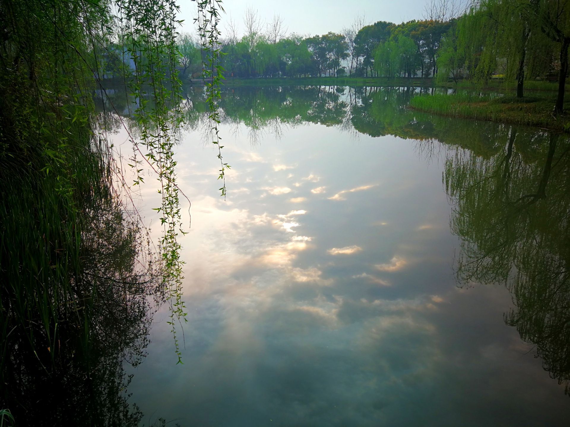 山东郯城：白马河湿地公园美景如画_图说_中国山东网