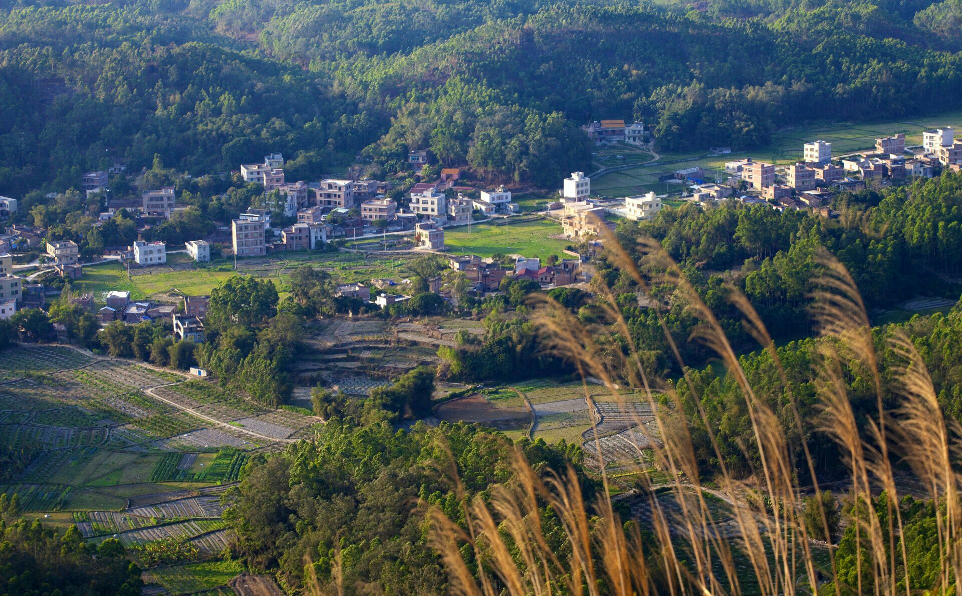 廉江旅游景点图片