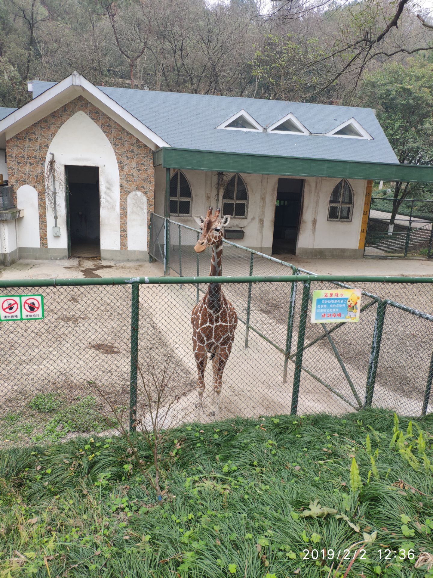温州景山动物园一日游图片