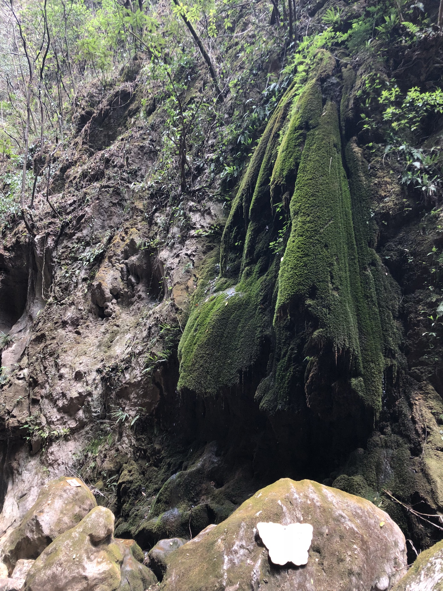 会泽雨碌大地缝