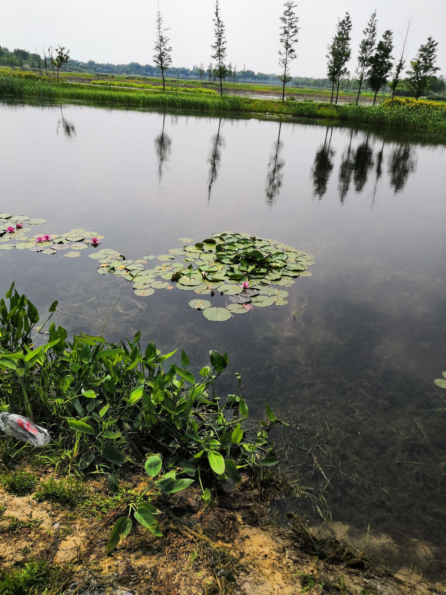 胡子缘生态景观庄园