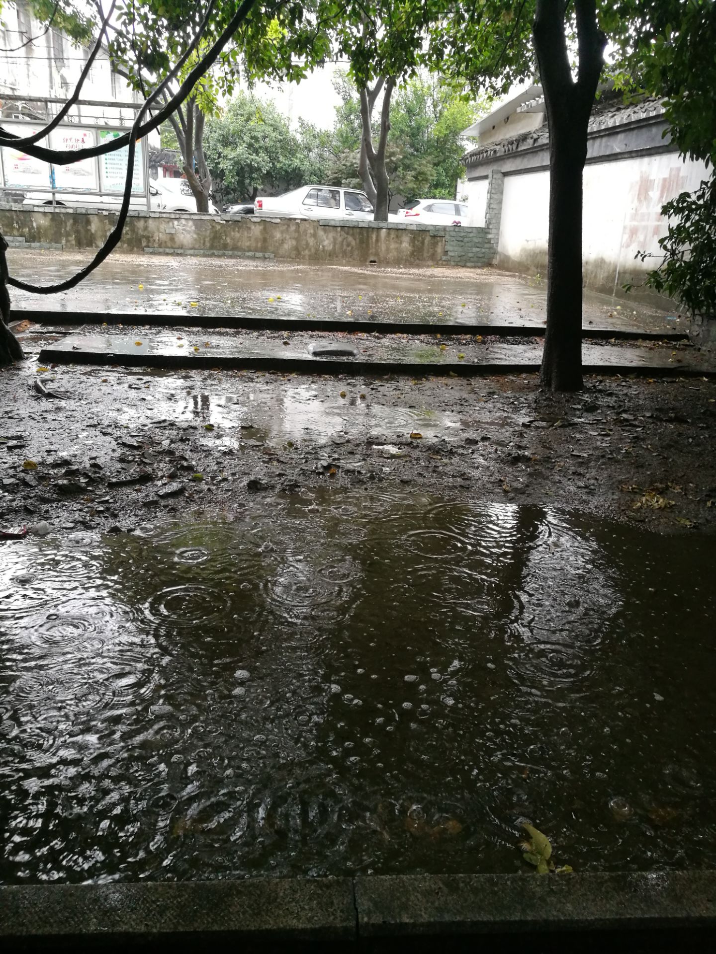 今天一直下雨,都没人出来玩了,唉