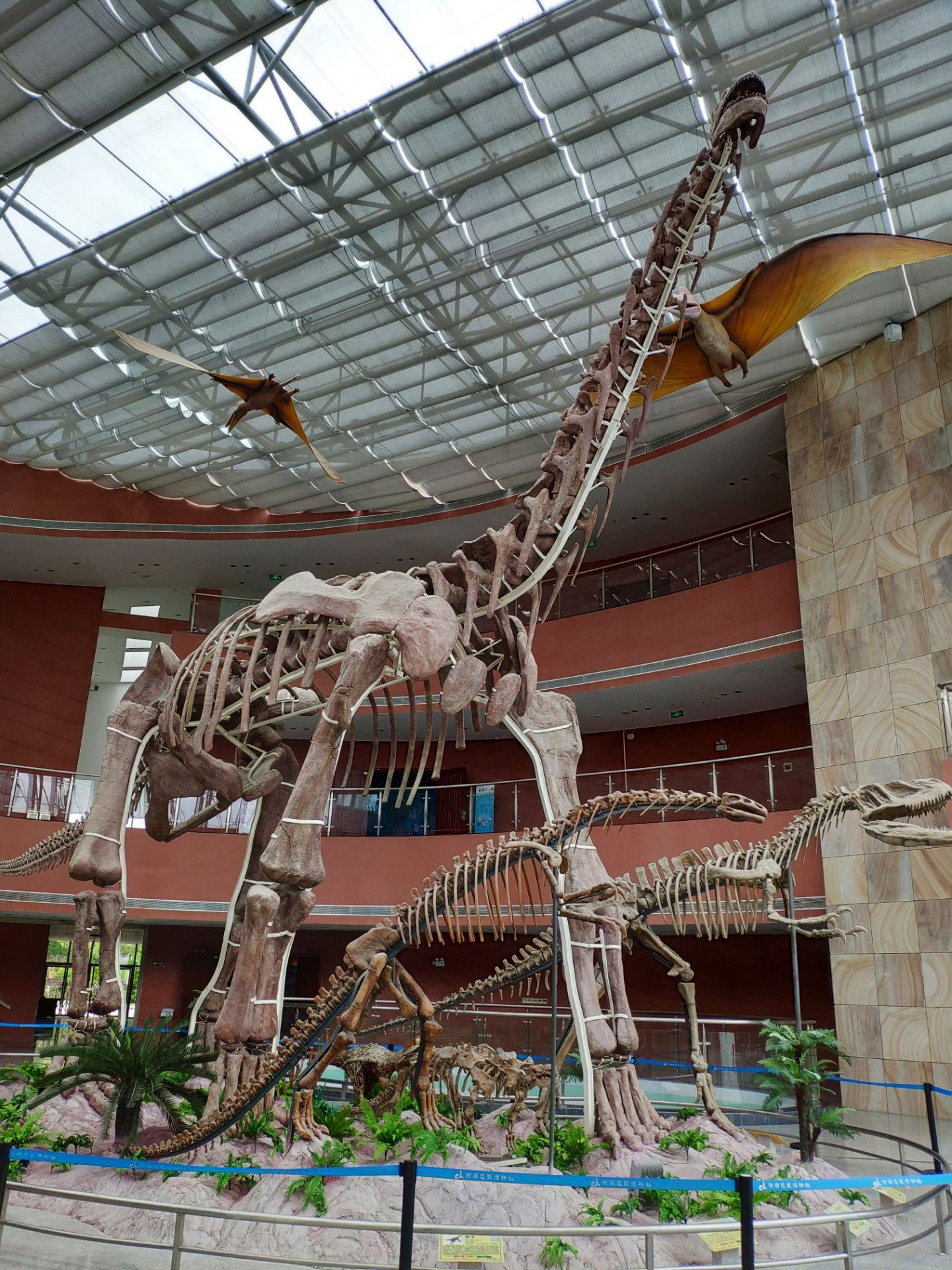 2023河源恐龙博物馆游玩攻略,特别是馆藏16000多枚恐龙蛋化...【去哪儿攻略】