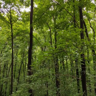 葫芦岛芳萃园攻略-芳萃园门票价格多少钱-团购票价预定优惠-景点地址