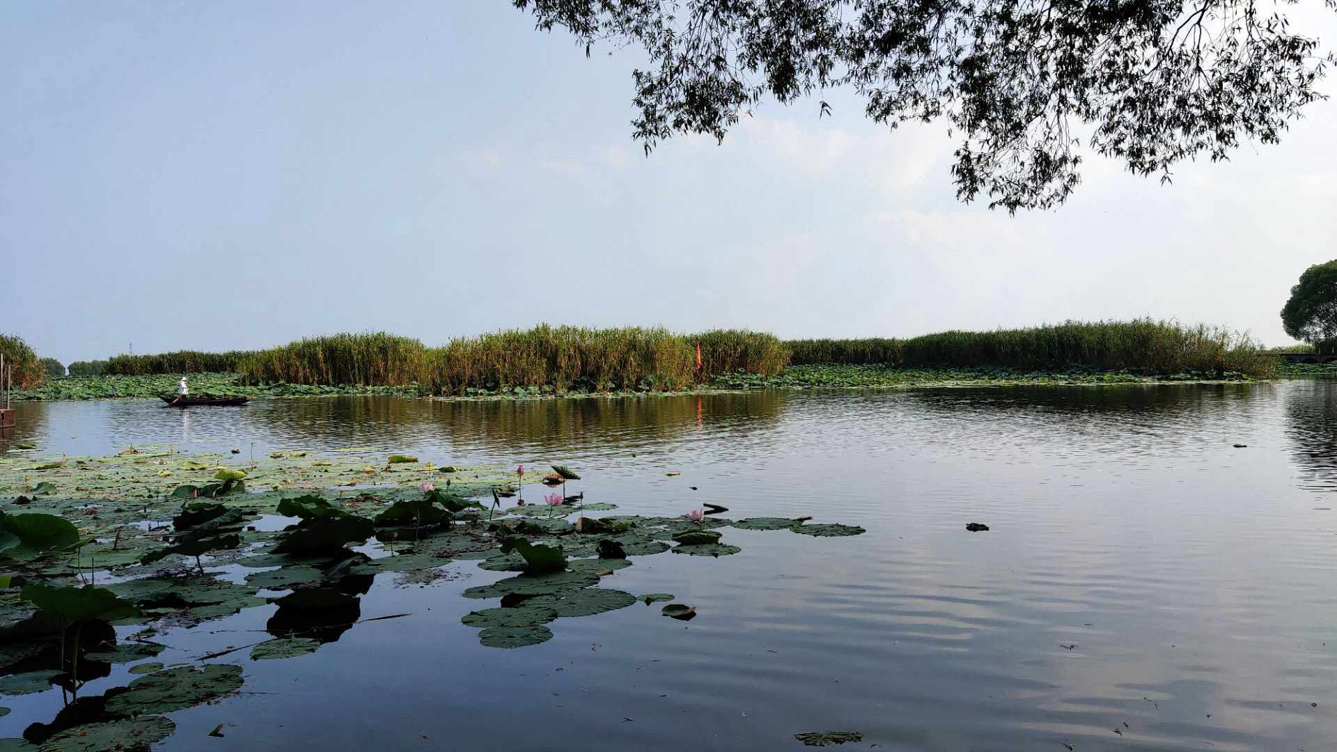 2023洪湖公园游玩攻略,洪湖公园有很多美丽的景色，...【去哪儿攻略】