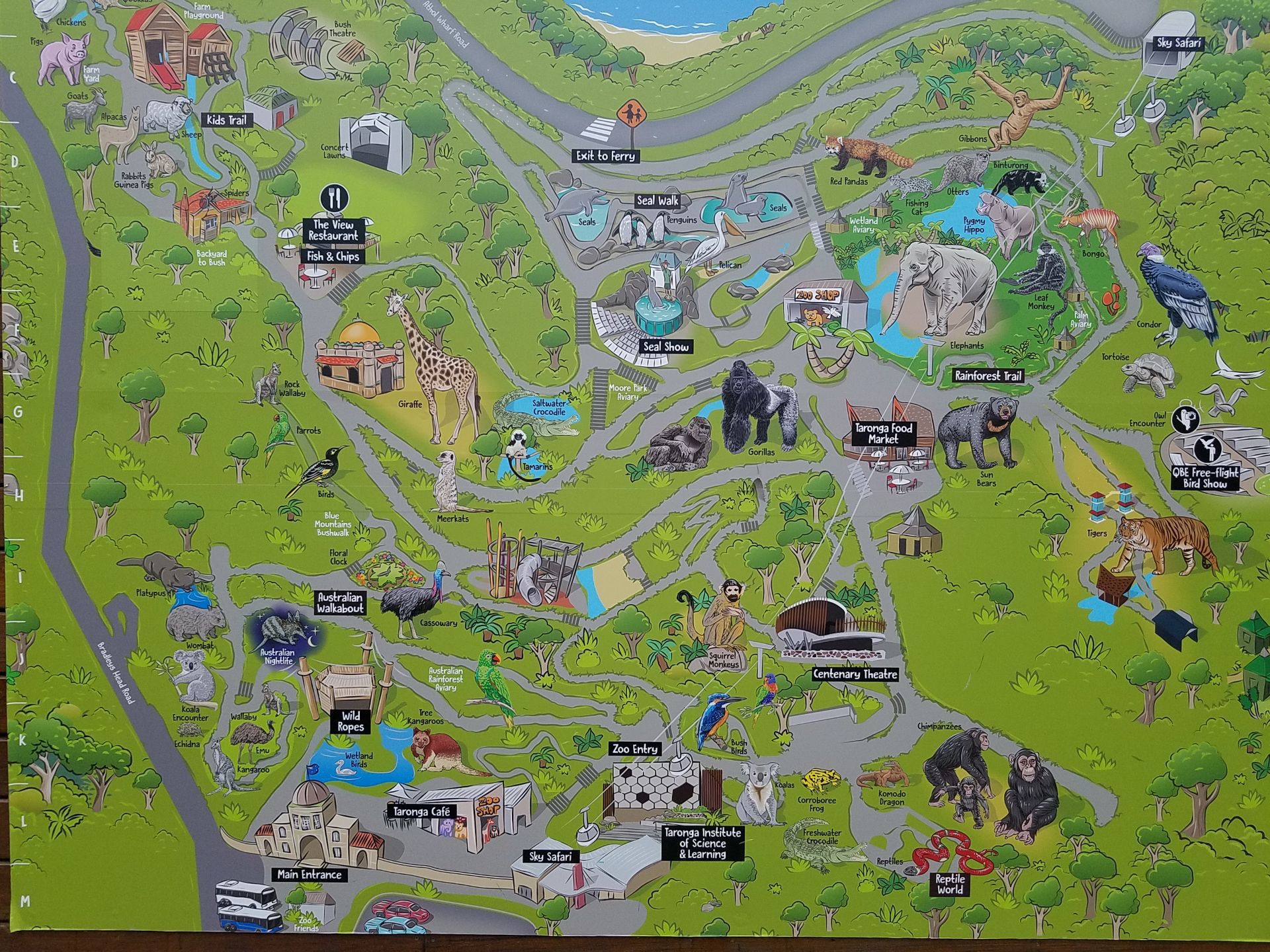 2019塔龙加动物园旅游攻略门票地址问答游记点评，悉尼旅游旅游景点推荐去哪儿攻略