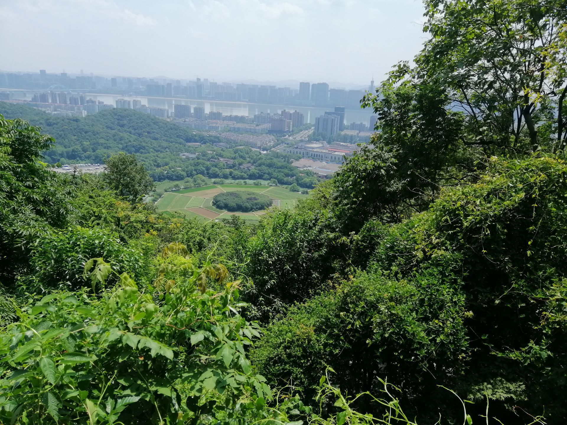 2020玉皇山景區-旅遊攻略-門票-地址-問答-遊記點評,杭州旅遊旅遊景點