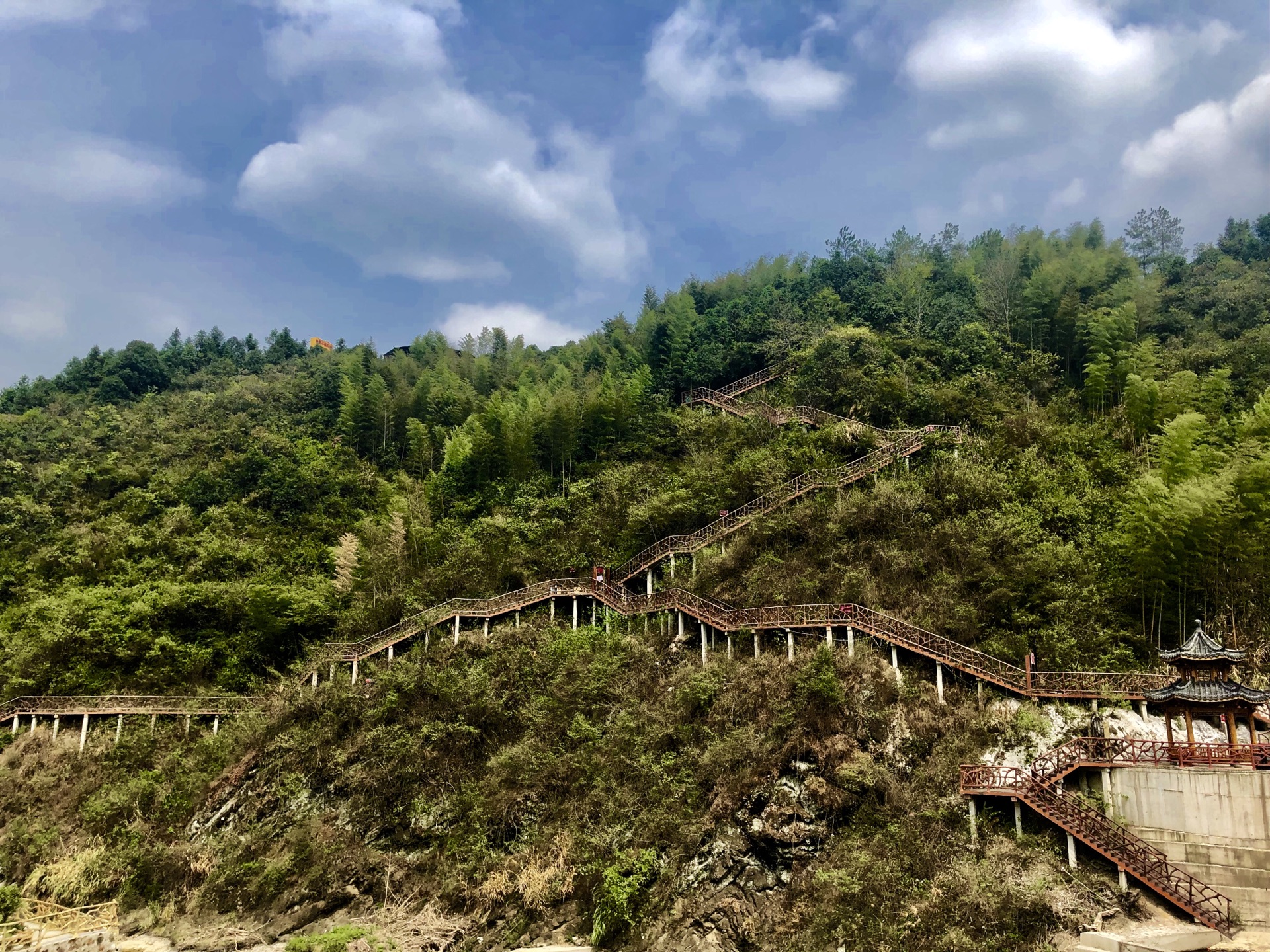 崇阳柃蜜小镇骗图片