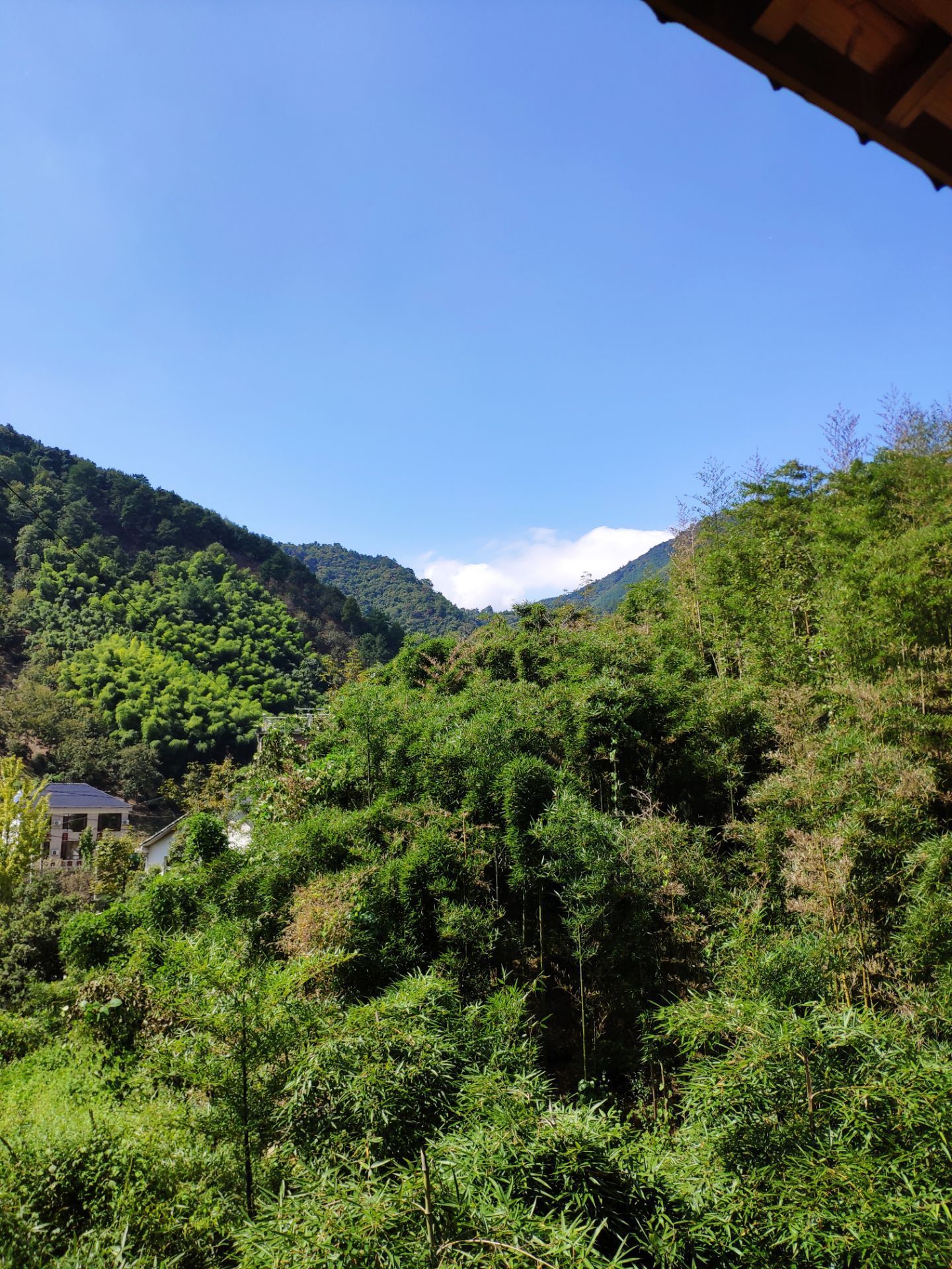 西天目山(西天目山风景区)