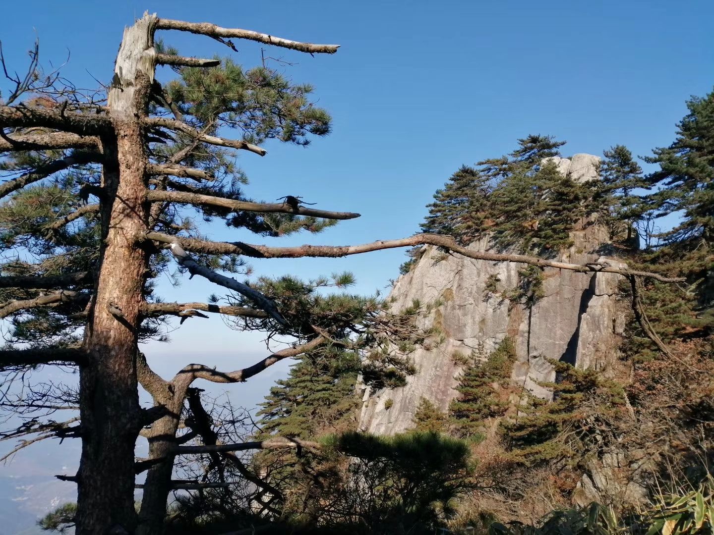 目的地 天堂寨風景區 附近景點 直線距離5.5km