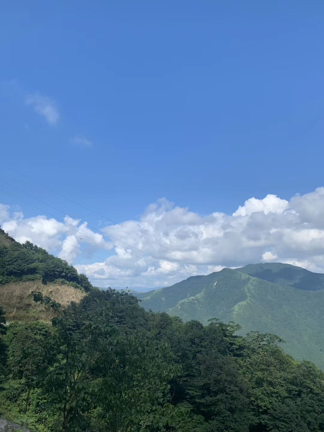 猪婆山森林公园