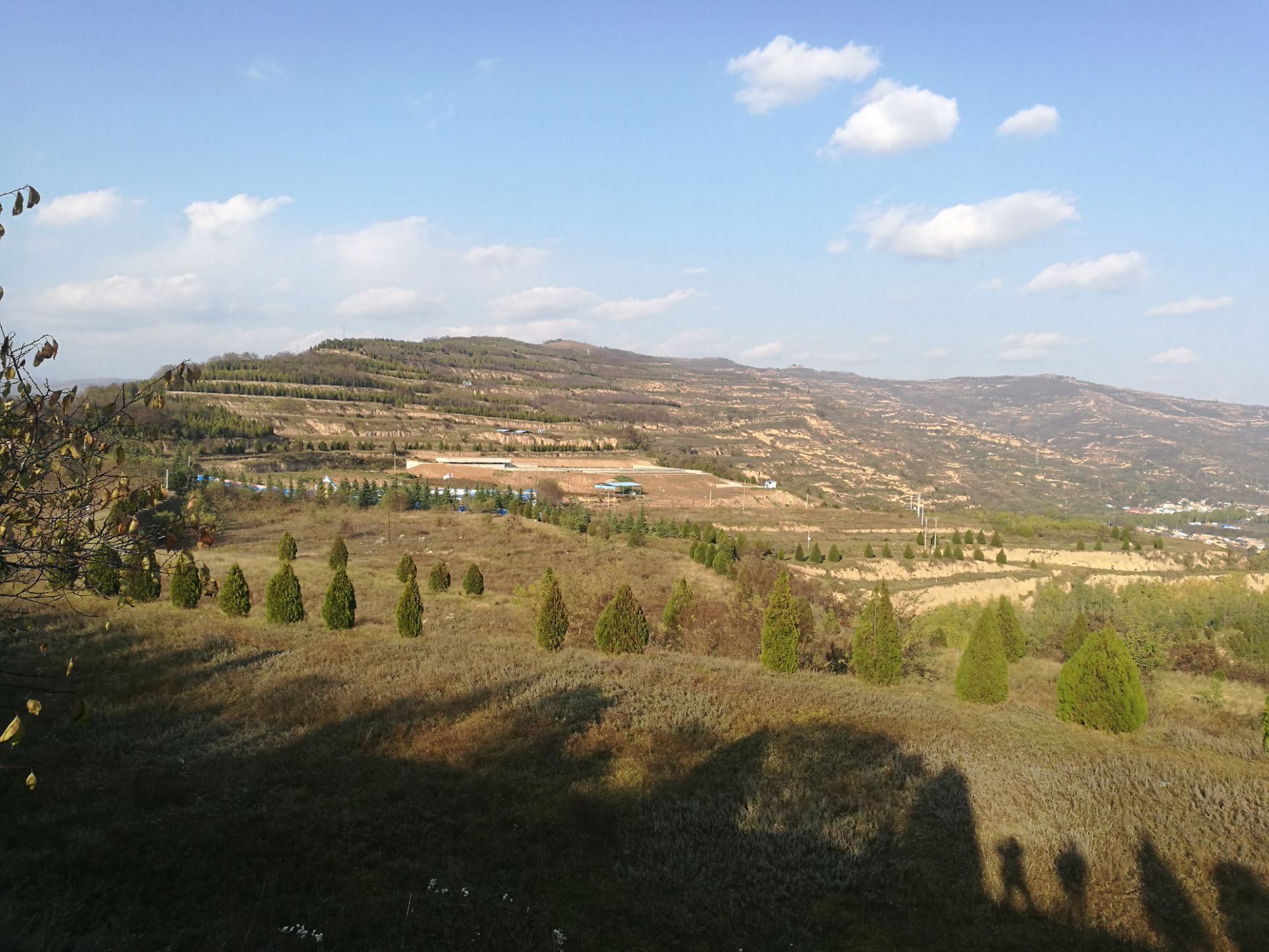 大堡子山秦公墓地