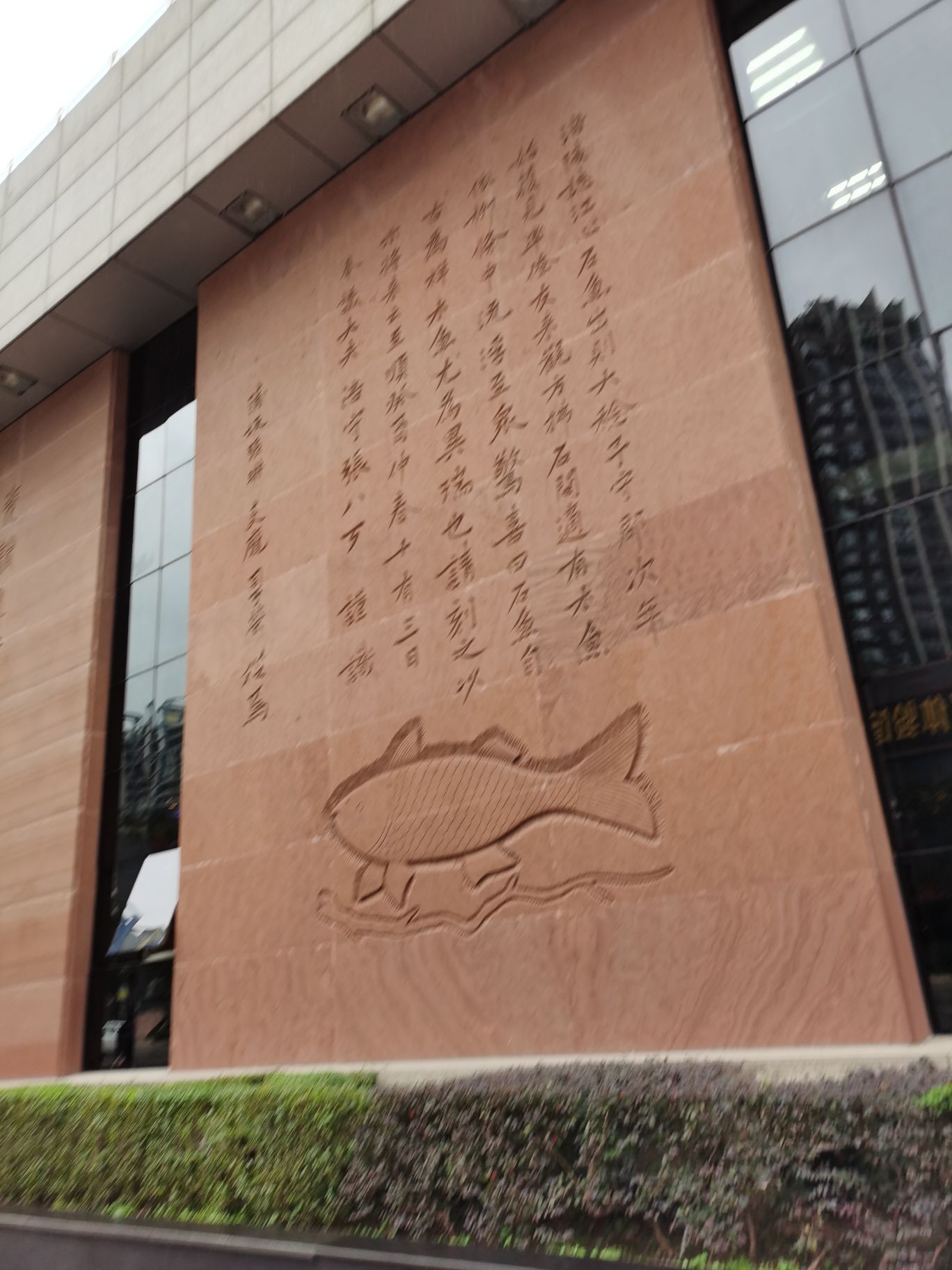 2023白鹤梁水下博物馆游玩攻略,长长的扶梯把我们带入长江底.