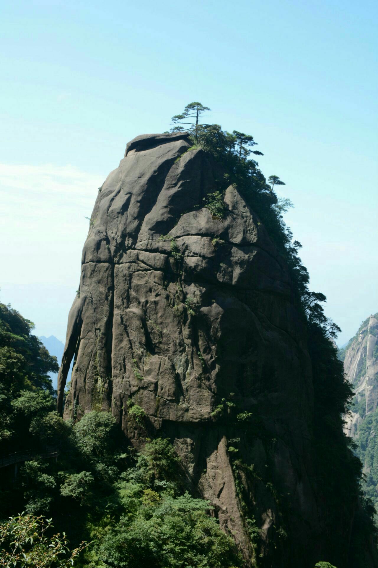 2020神龙戏松-旅游攻略-门票-地址-问答-游记点评,三清山旅游旅游景点