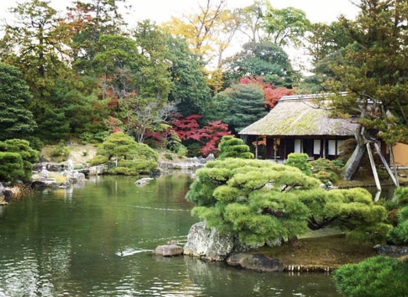 桂离宫有网上预约成功的吗 我前后预约了3次都被拒了 正常现象 京都旅游问答 携程攻略