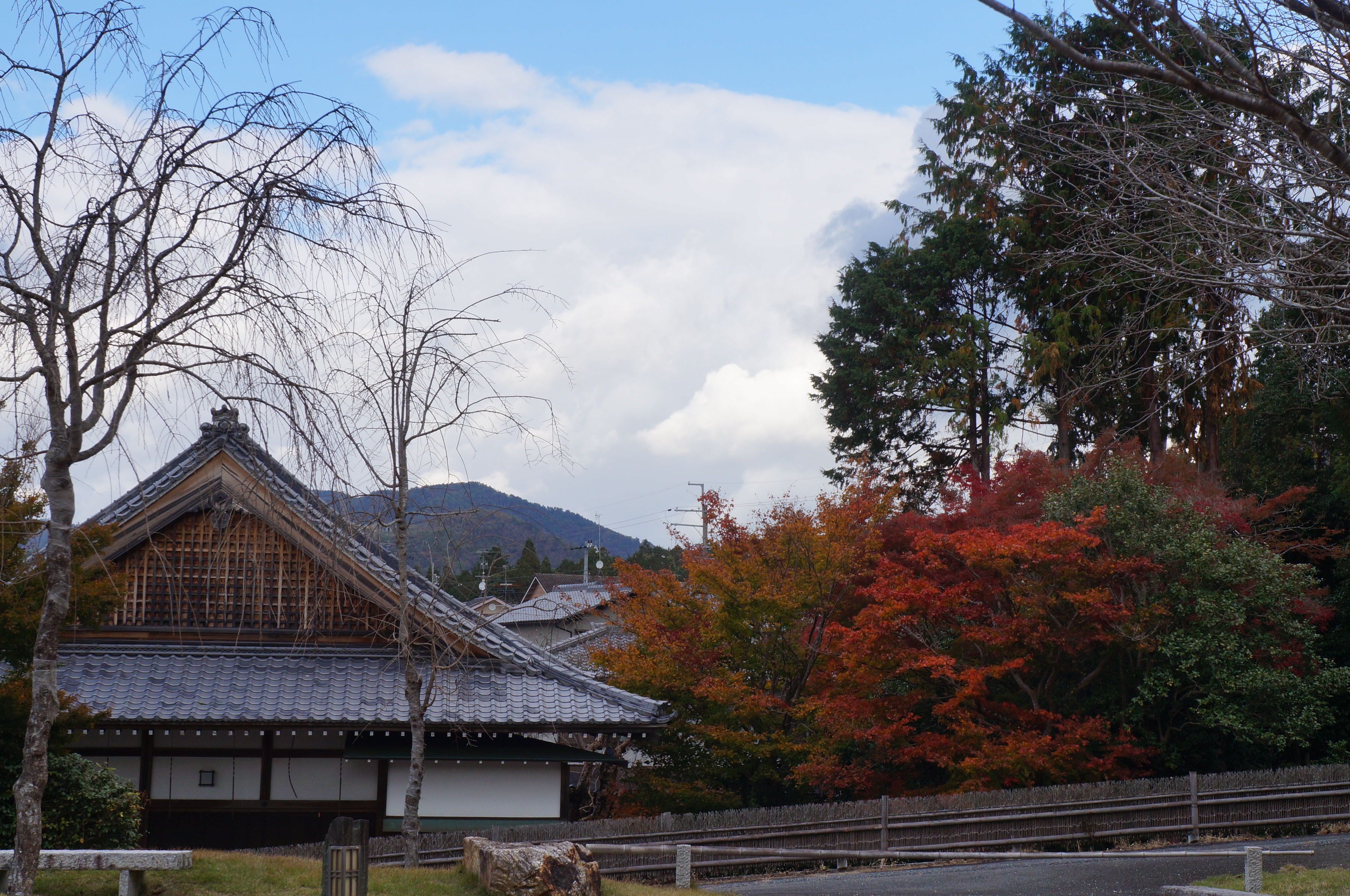 京都圆光寺攻略,京都圆光寺门票/游玩攻略/地址/图片/门票价格【携程