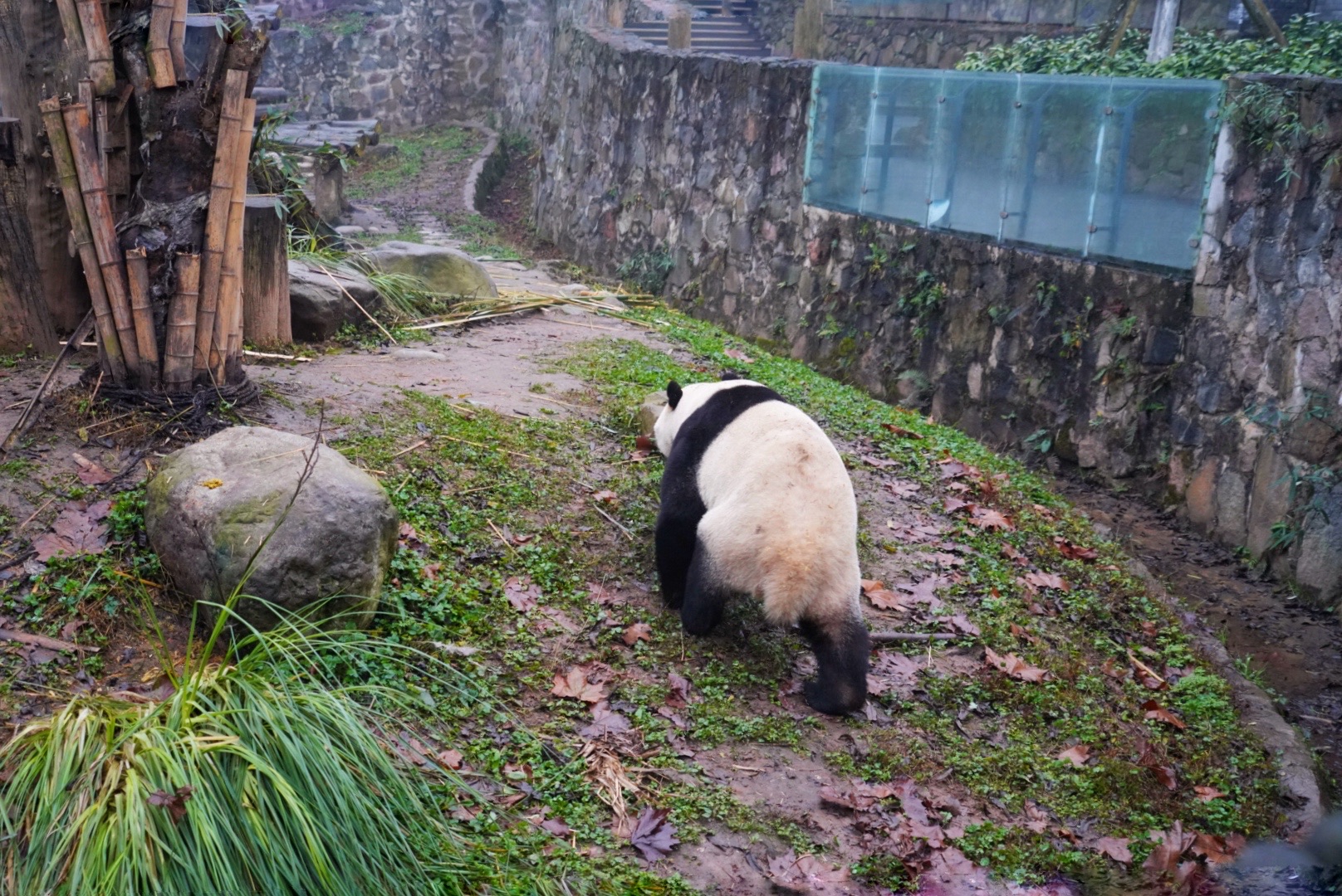都江堰有什么好玩的旅游景点|成都附近好玩的地方排行榜