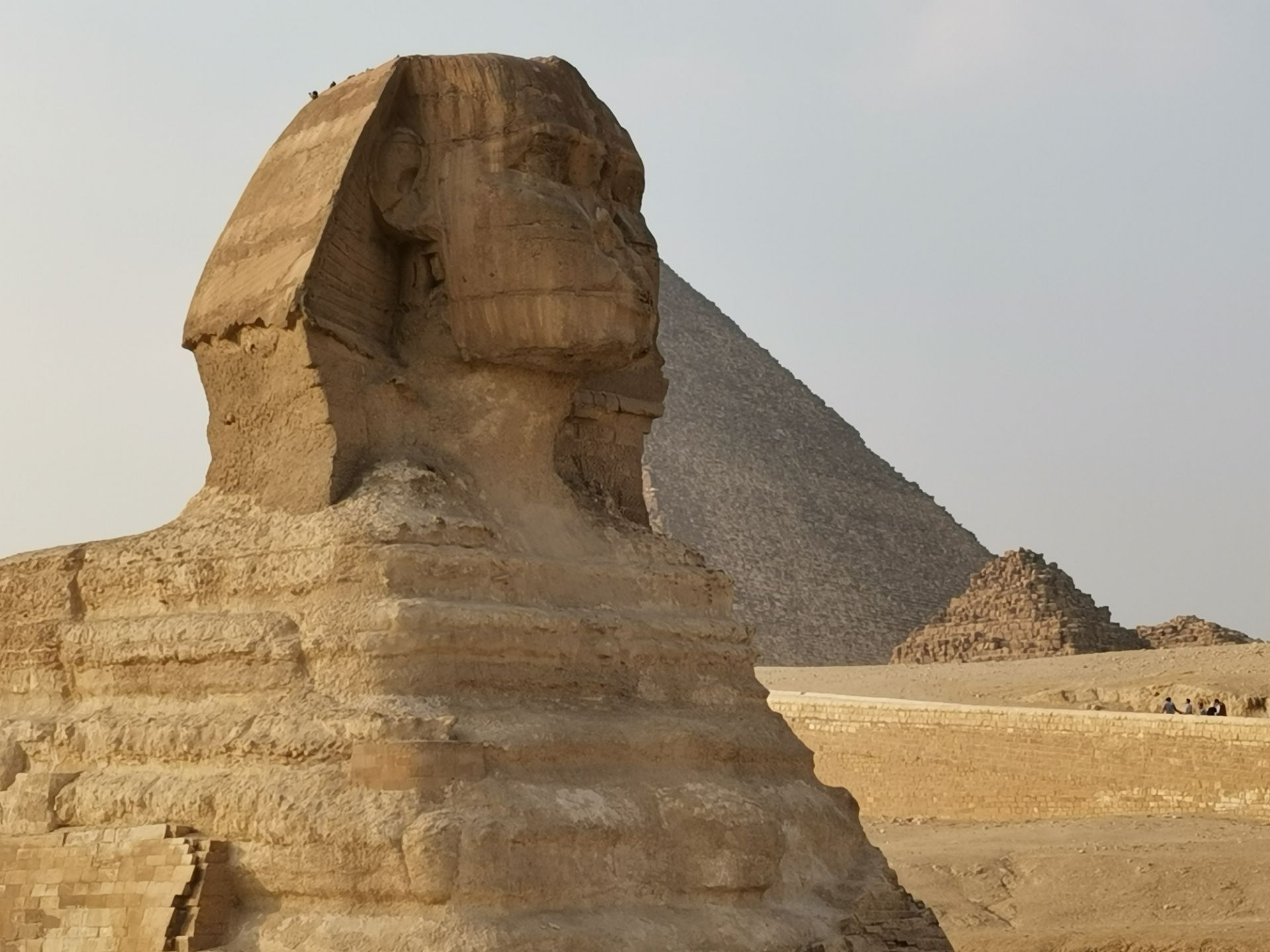 2020狮身人面像-旅游攻略-门票-地址-问答-游记点评，开罗旅游旅游景点推荐-去哪儿攻略