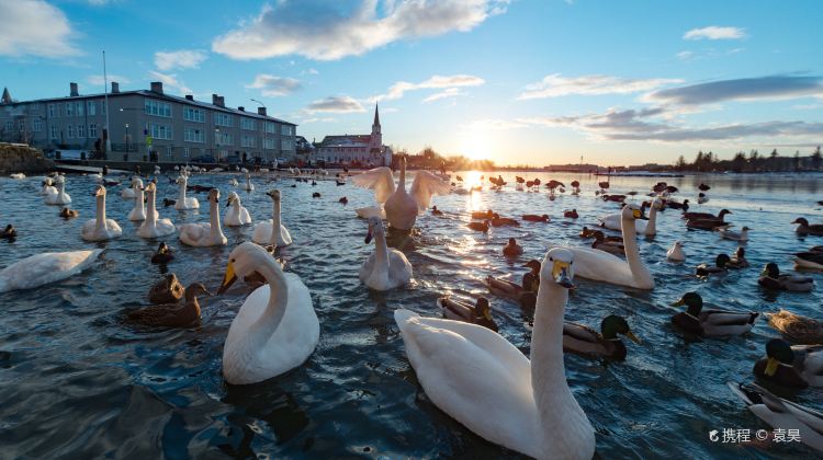 雷克雅未克托宁湖攻略-托宁湖门票价格多少钱-团购票价预定优惠-景点
