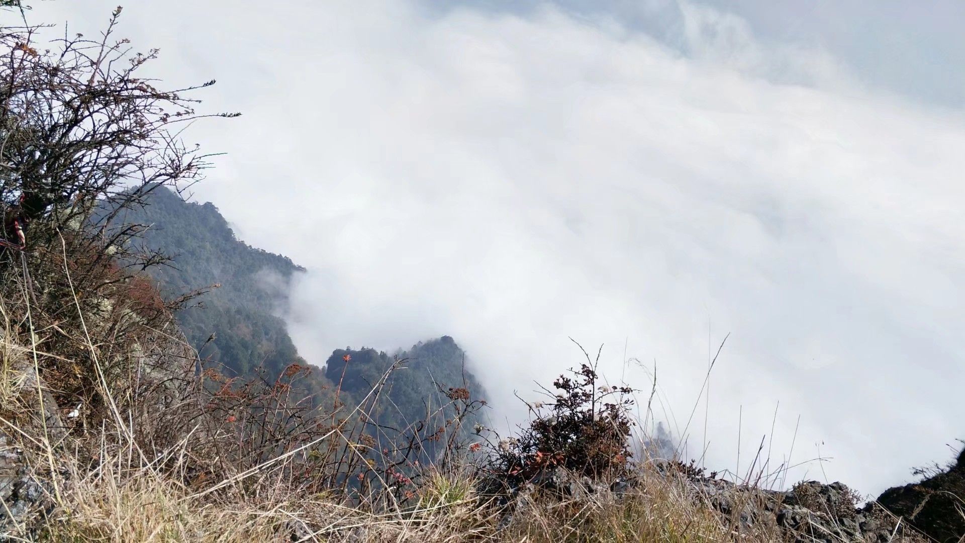 2020九岭岗-旅游攻略-门票-地址-问答-游记点评,峨眉山旅游旅游景点