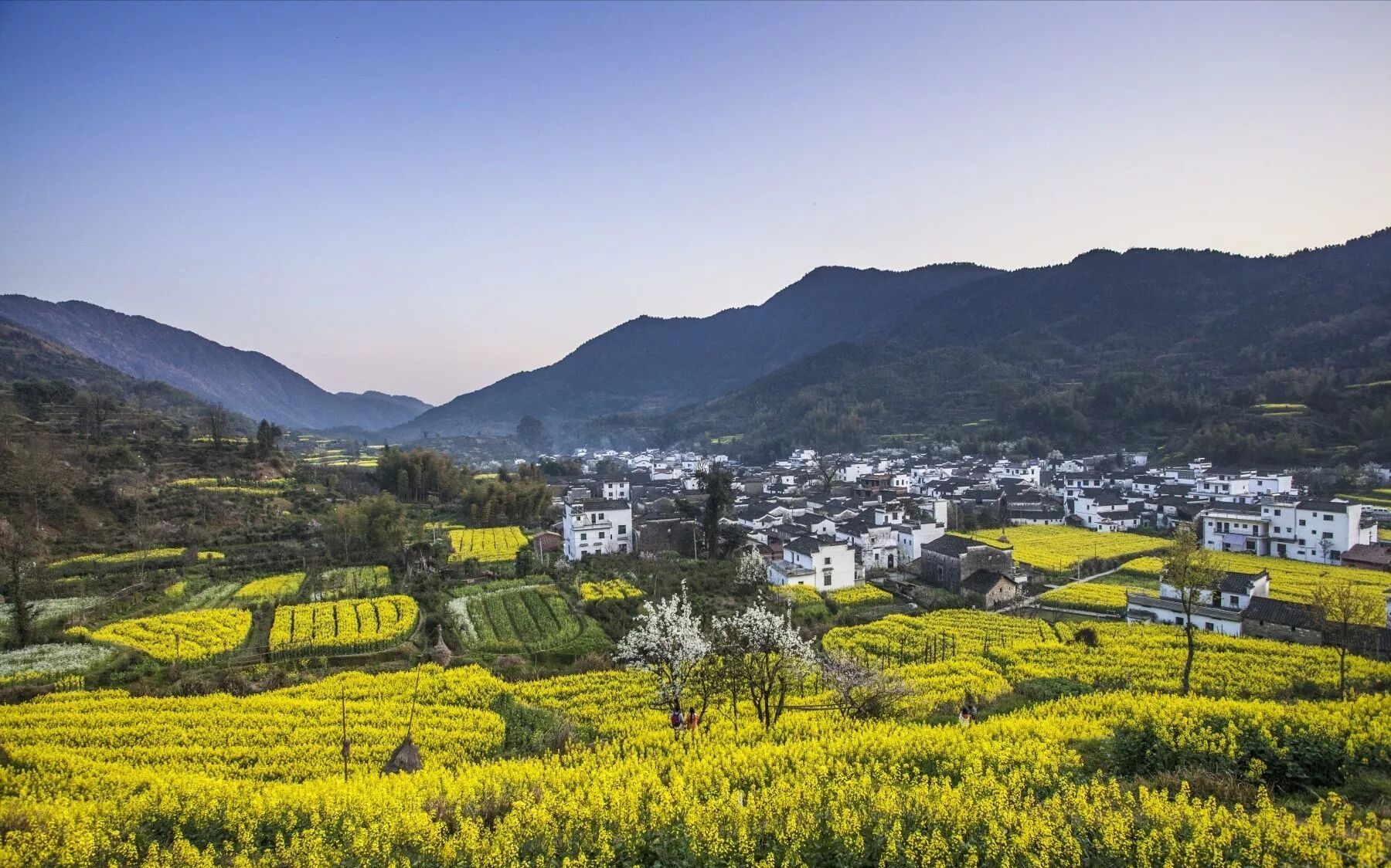思溪延村