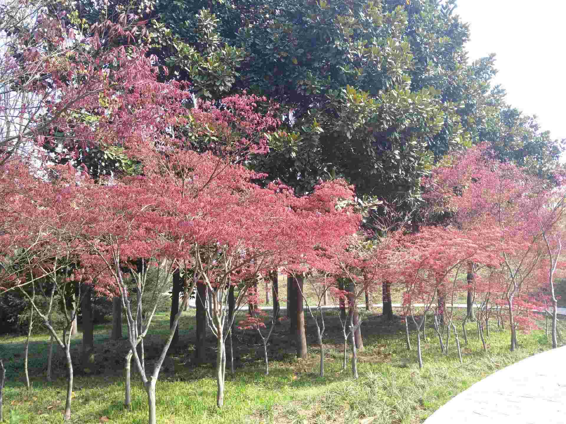 区贾峪镇工业路马寨经济开发区 乘坐新田城1号线到新田大道马沟站下