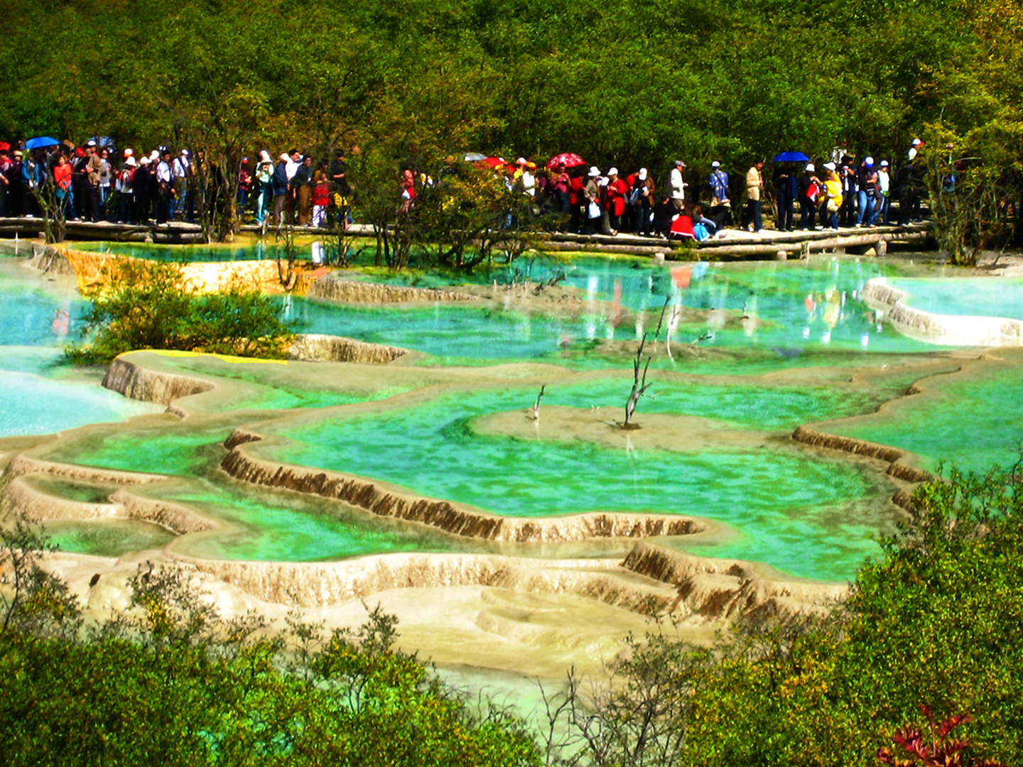 中国四川黄龙游记(图)