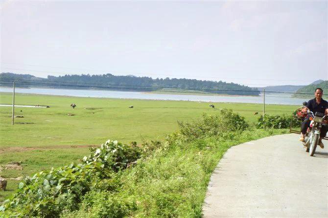 来宾罗利屯湿地攻略,来宾罗利屯湿地门票/游玩攻略/地址/图片/门票