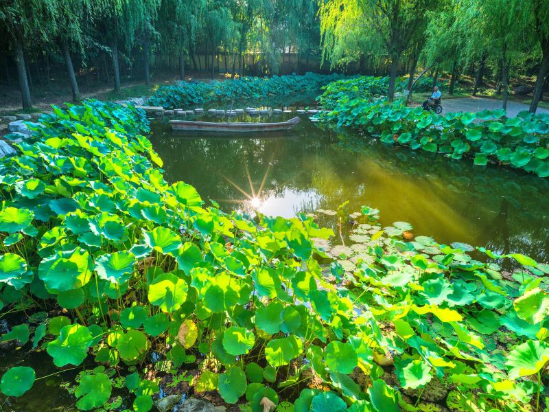 许昌董贵妃苑攻略-董贵妃苑门票价格多少钱-团购票价预定优惠-景点