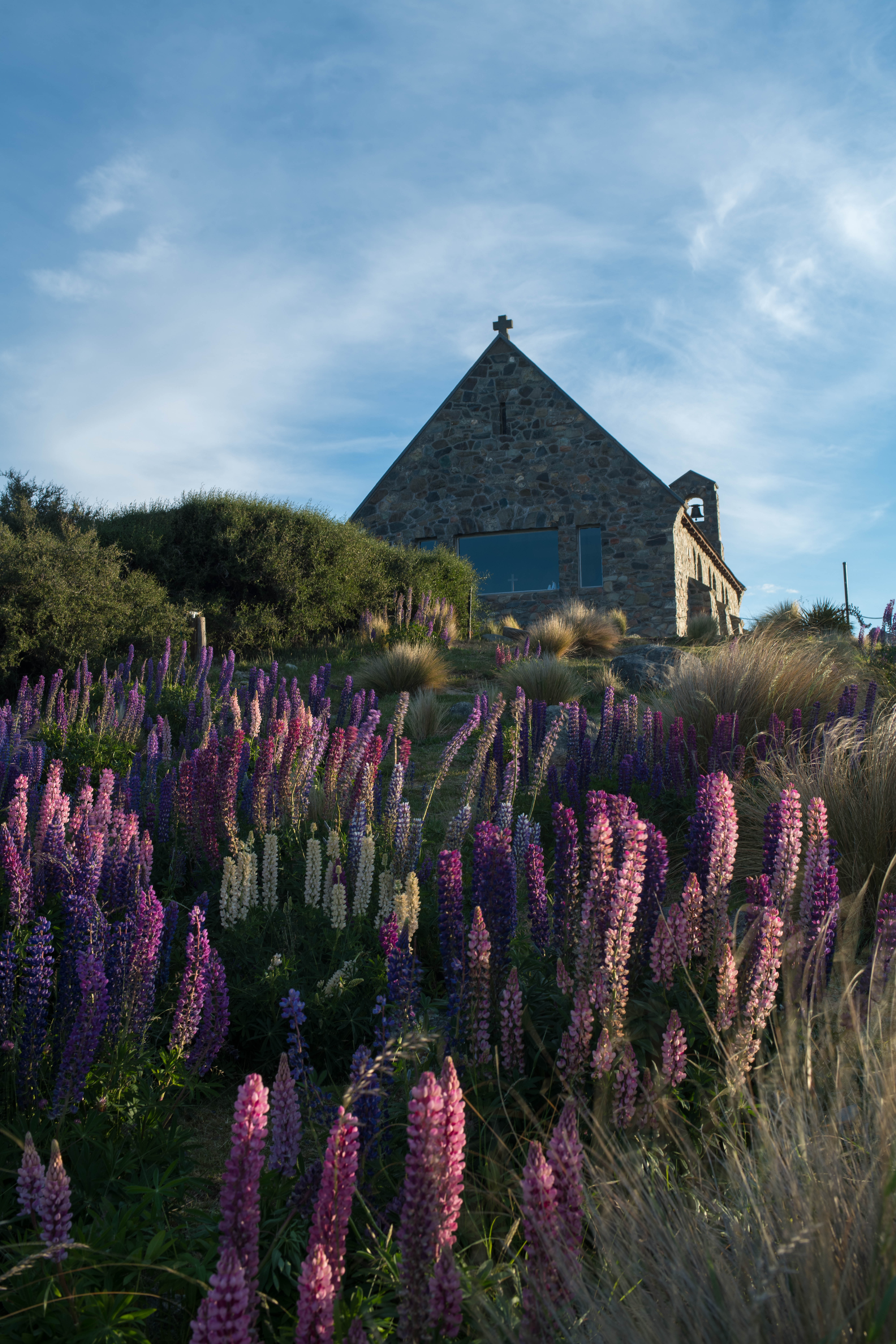 【携程攻略】特卡波湖好牧羊人教堂景点,这座漂亮的石教堂位于新西兰的特卡波湖岸边。蜿蜒的公路与夕阳交错，…