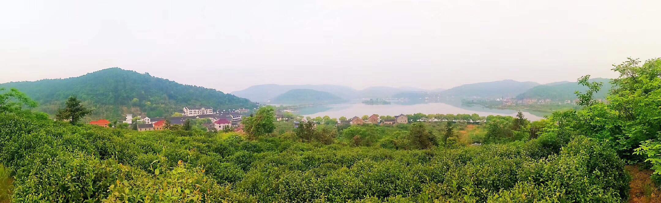 海盐云岫庵攻略,海盐云岫庵门票/游玩攻略/地址/图片/门票价格【携程