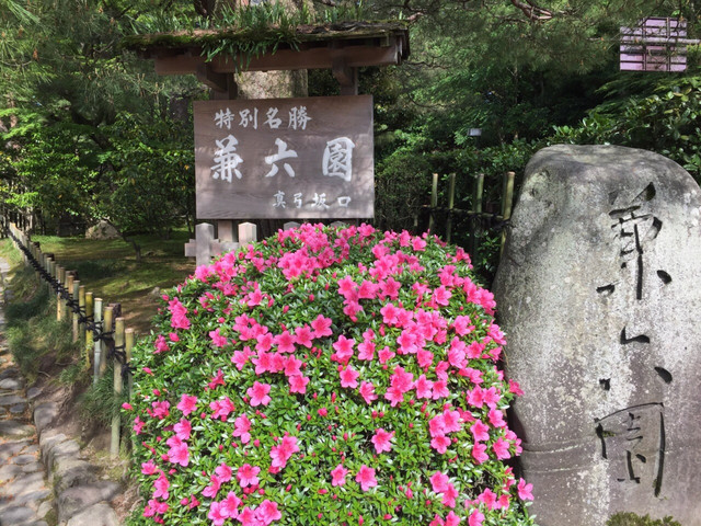 兼六園 携程氢气球