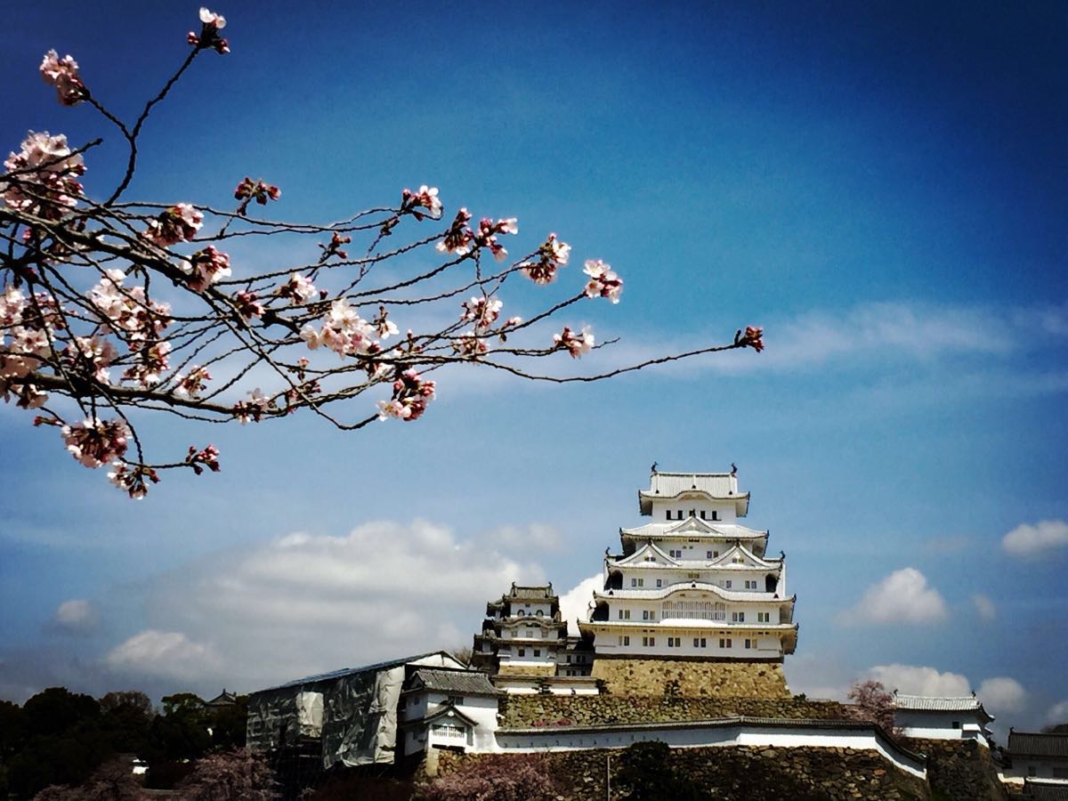 2019姬路城_旅遊攻略_門票_地址_遊記點評,姬路旅遊景點推薦 - 去哪兒