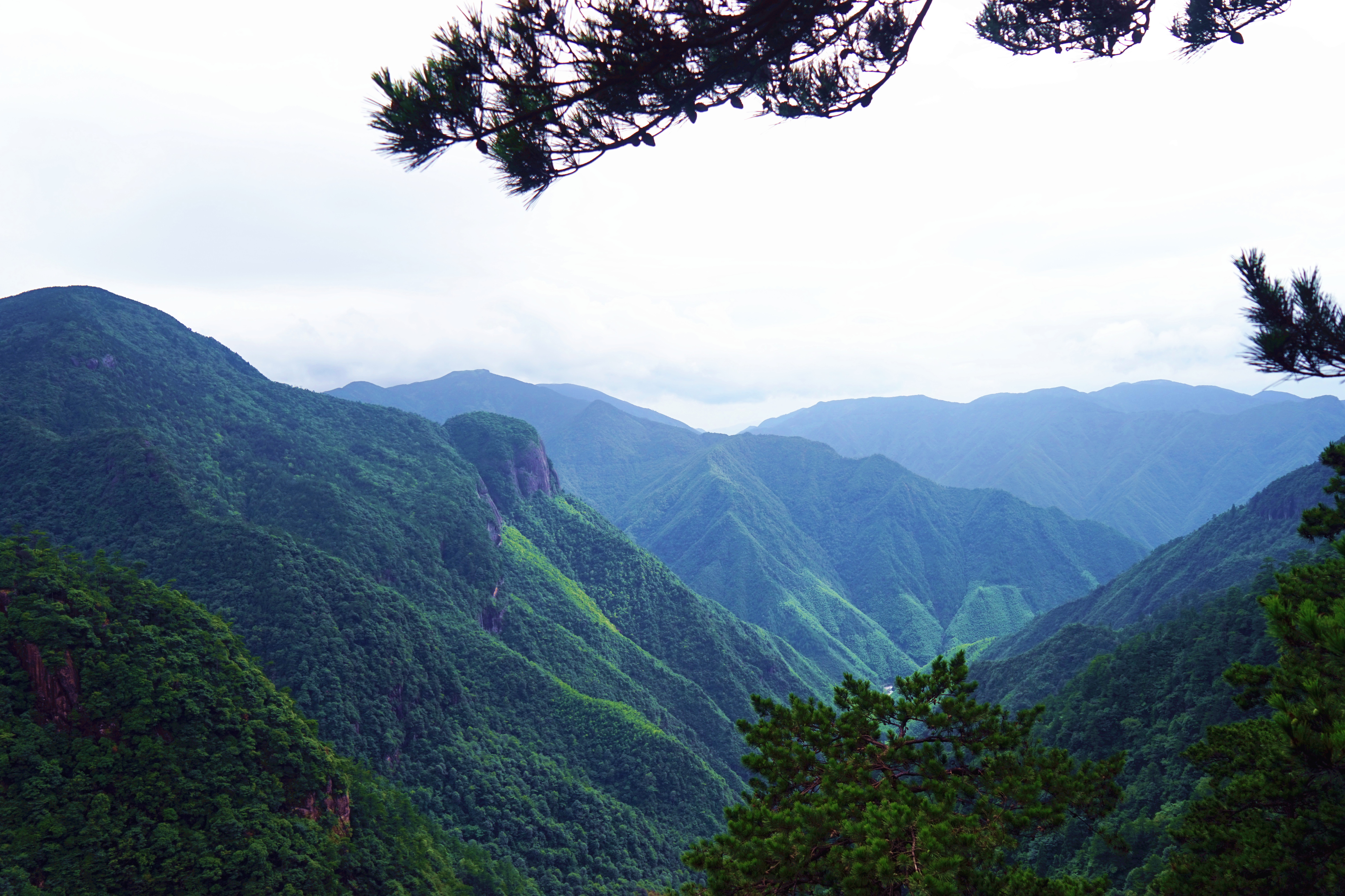 【携程攻略】龙泉龙泉山旅游区适合朋友出游旅游吗,龙泉山旅游区朋友